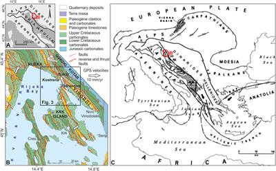 Active Tectonics in the Kvarner Region (External Dinarides, Croatia)—An Alternative Approach Based on Focused Geological Mapping, 3D Seismological, and Shallow Seismic Imaging Data